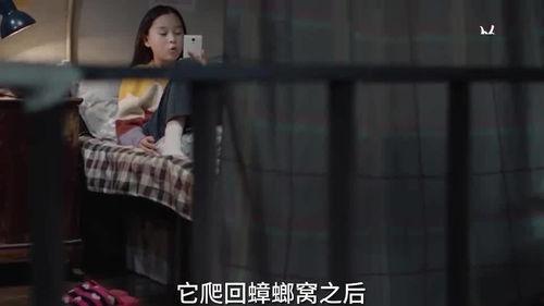小喜乐姑姑维姐爆料视频,揭秘背后惊人真相