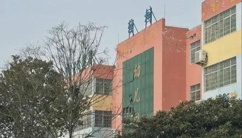 南阳新野最新爆料,揭秘古城新颜背后的故事  第3张