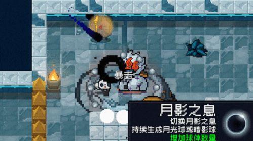 元气丸子爆料视频,独家爆料视频深度解析  第3张