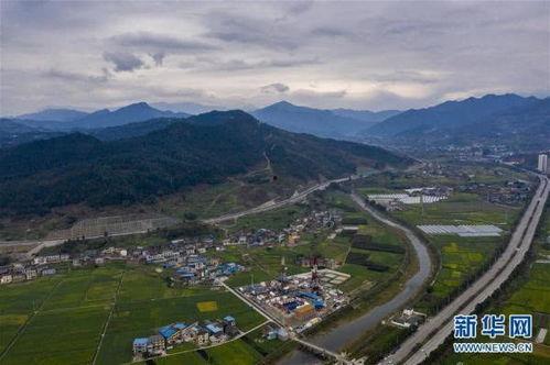 重庆新冠源头爆料最新,揭秘病毒起源之谜  第2张