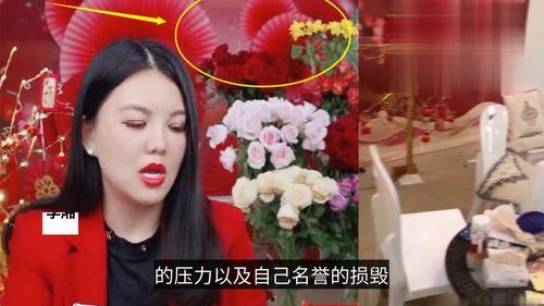 台湾艺人直播爆料视频播放  第3张