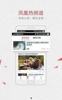 凤凰新闻爆料电话号码,揭秘新闻背后的真相  第2张
