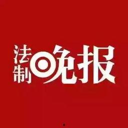 台山新闻爆料,揭秘当地热点事件背后的真相  第2张