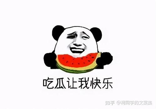 给我免费看吃瓜,揭秘娱乐圈幕后故事  第2张