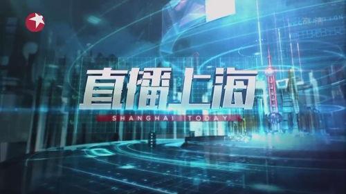东方卫视新闻爆料,揭秘重大新闻事件背后真相  第3张