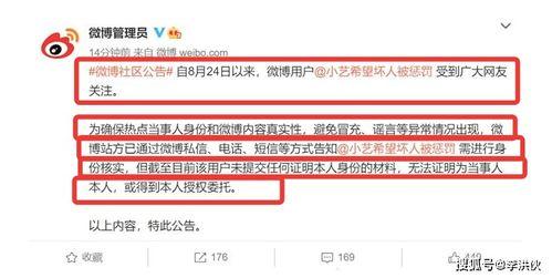 信宜小艺爆料事件最新,揭秘背后真相与网络舆论风暴  第2张