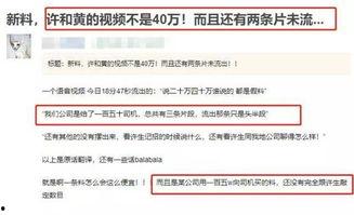 入账师现场爆料视频,入账师揭秘入账内幕，视频曝光行业真相