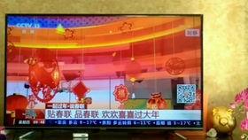 体育爆料今天新闻联播,今日新闻联播聚焦体育热点  第3张