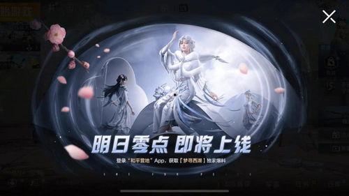 新皮肤男款爆料视频大全,潮流视觉盛宴，尽享时尚风采  第3张