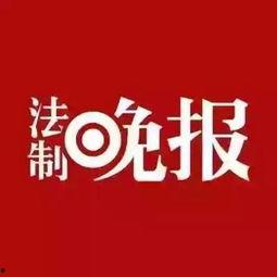 成都时事新闻爆料电话,揭秘市民爆料热线背后的新闻故事  第3张