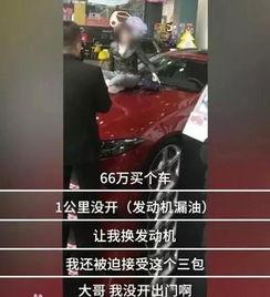 福建新闻广播爆料车主视频,惊险一幕引发关注