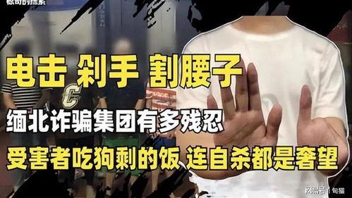爆料缅北高清视频大全下载,高清视频大全下载背后的真相