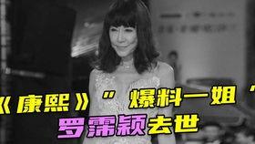 康熙爆料一姐视频大全播放,揭秘娱乐圈幕后故事  第2张