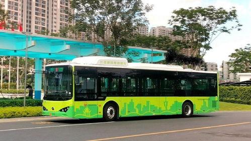 汕头公交爆料事件视频播放,真相与反思