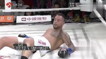 在线观看散打,领略传统武术魅力，感受搏击精神  第2张
