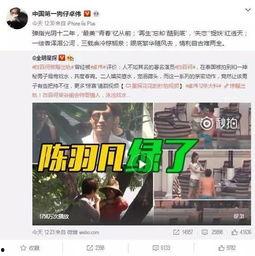 陈子圣被爆料电梯事件视频,真相与争议交织  第3张