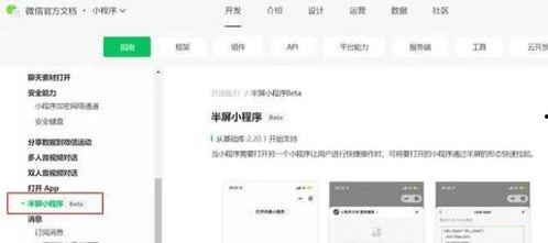 小程序最新独门爆料视频,功能升级与亮点抢先看  第2张
