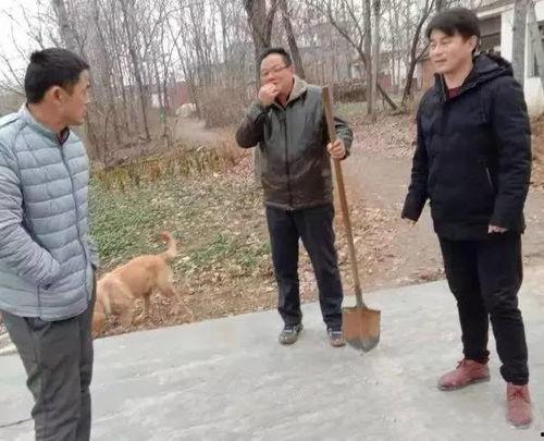 辛店镇吃瓜最新事件爆料,揭秘背后惊人真相  第3张
