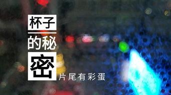 徐州饭店爆料视频播放网站,揭秘饭店幕后真相
