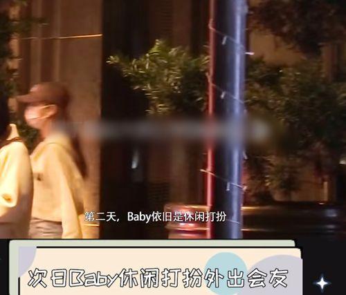 越南狗仔爆料视频播放大全,揭秘娱乐圈幕后真相  第3张