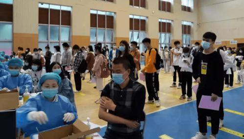 洛南负面爆料最新消息视频  第3张