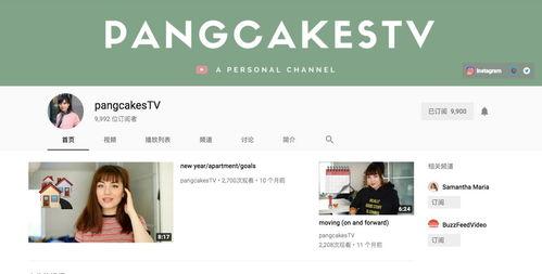 丹麦最新爆料视频大全,揭秘幕后真相与精彩瞬间  第2张