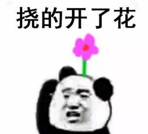 爆料小大人视频搞笑图片,小大人搞笑图片集锦  第2张