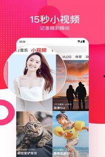 吃瓜风华免费观看西瓜视频,揭秘西瓜视频的免费观看之旅  第3张