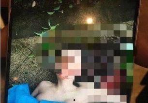 苏州景区爆料事件视频,揭秘背后惊人真相