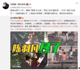 卓伟爆料颖宝视频大全集,卓伟爆料背后的真相与争议  第2张