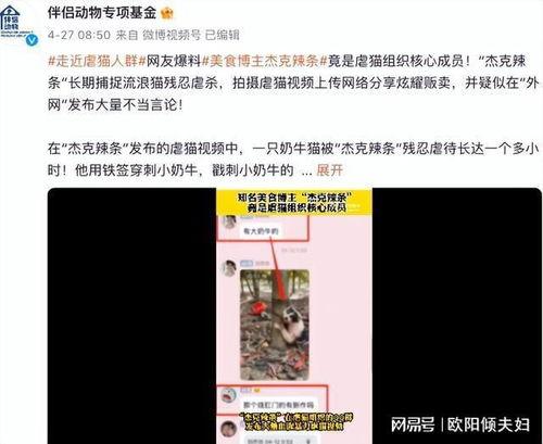 杰克辣条爆料视频