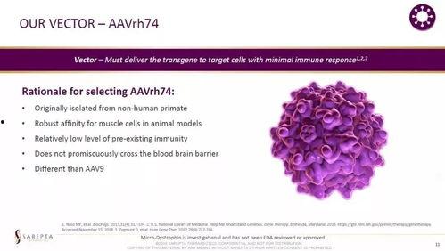 dmd最新爆料,揭秘神秘项目，行业变革即将到来！  第2张