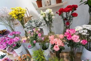 爆料进口鲜花怎么做视频,打造视觉盛宴的秘诀  第2张