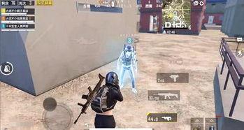 和平精英小团团最新爆料  第3张