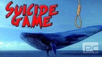 蓝鲸队假赛爆料了吗视频