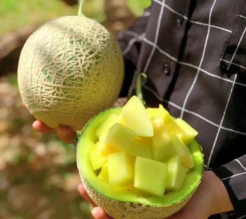 娱乐最近吃瓜,揭秘明星幕后故事  第3张