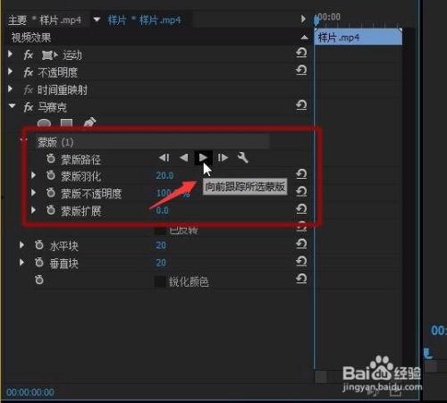 爆料人马赛克怎么弄视频,如何轻松制作个性化视频内容  第2张