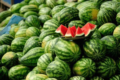 吃瓜网上的网红,揭秘吃瓜网上的明星幕后故事  第3张