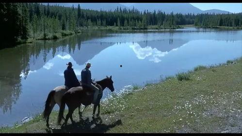 欧容 新女友在线观看,新女友在线引热议，甜蜜互动引网友羡慕  第3张