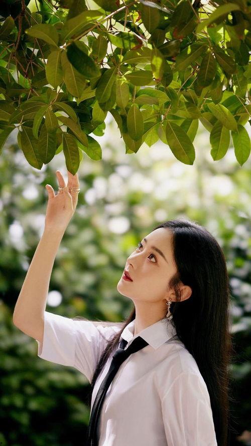 娱乐圈9条吃瓜爆料视频,揭秘明星背后的秘密与真相  第2张