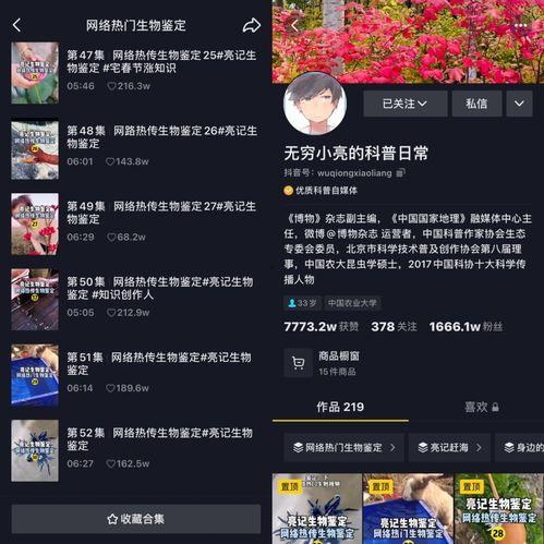 抖圈最新爆料,揭秘明星幕后故事